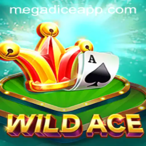 The Exciting World of WildAce: An In-Depth Exploration